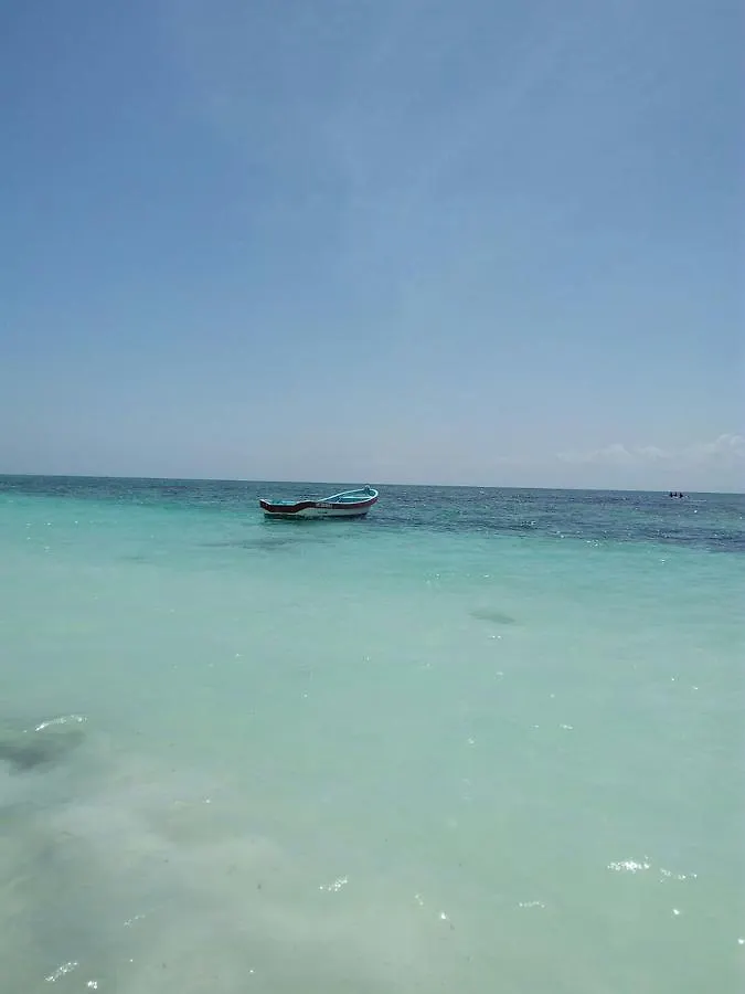 B&B Pelicanos 신데 델 카르멘