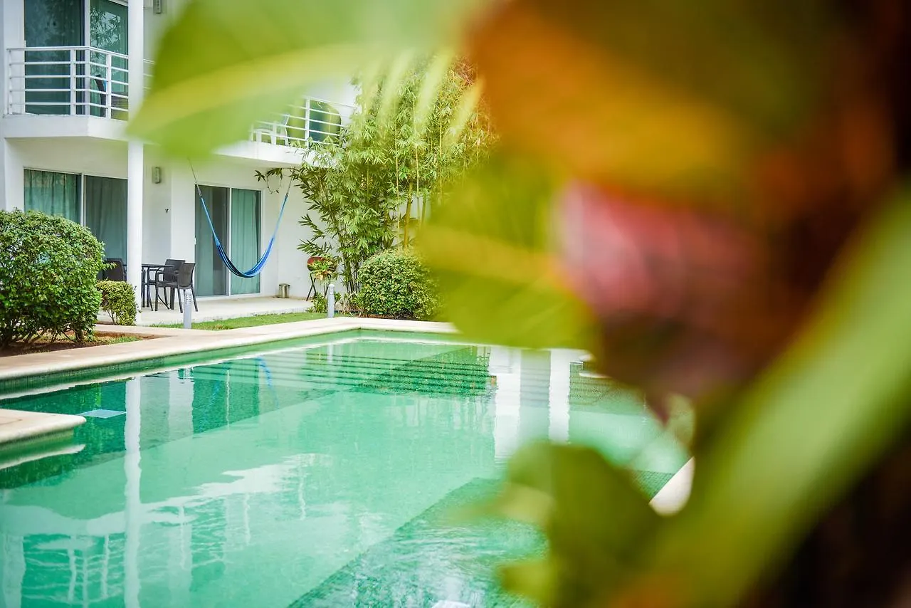 B&B Pelicanos 신데 델 카르멘